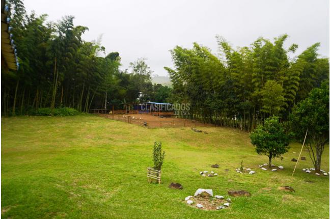 Fincas y Casas Campestres, Venta, Dagua - $450.000.000