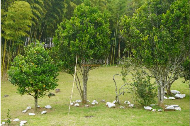 Fincas y Casas Campestres, Venta, Dagua - $450.000.000