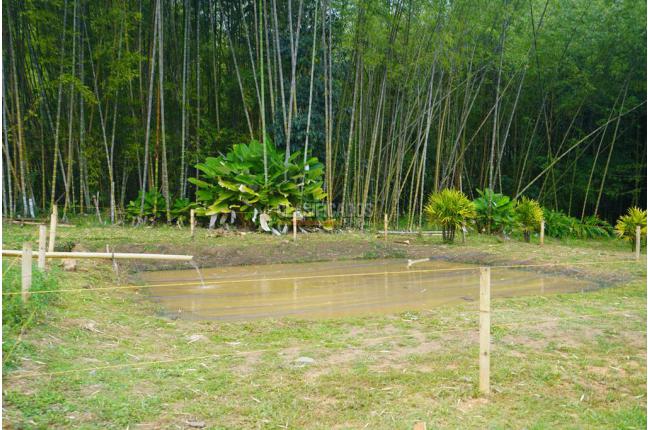 Fincas y Casas Campestres, Venta, Dagua - $450.000.000