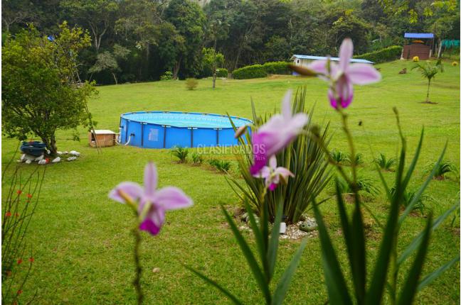 Fincas y Casas Campestres, Venta, Dagua - $450.000.000