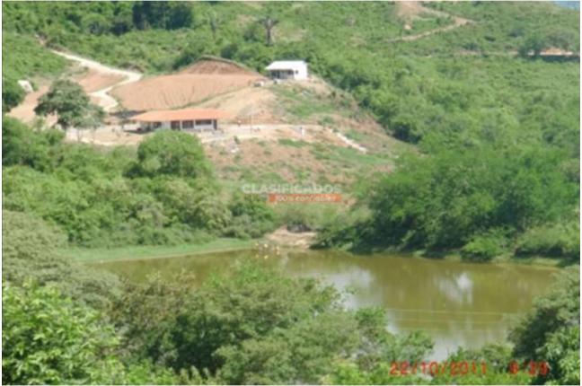 Fincas y Casas Campestres, Venta, Coello - $700.000.000