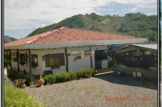 Fincas y Casas Campestres, Venta, Coello - $700.000.000