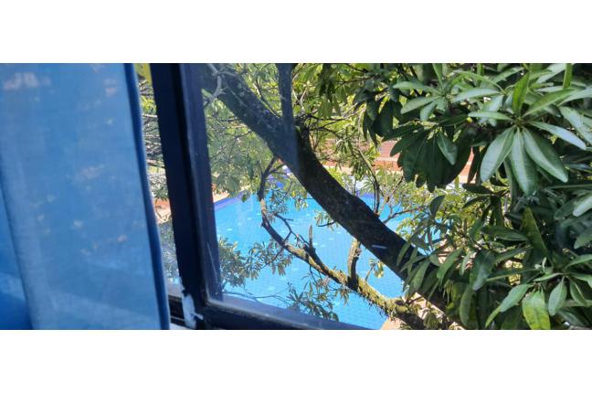 Habitaciones, Alquiler en Seminario