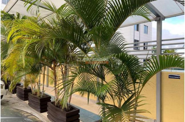 Oficinas y Consultorios, Venta, Ibagué - $312.000.000