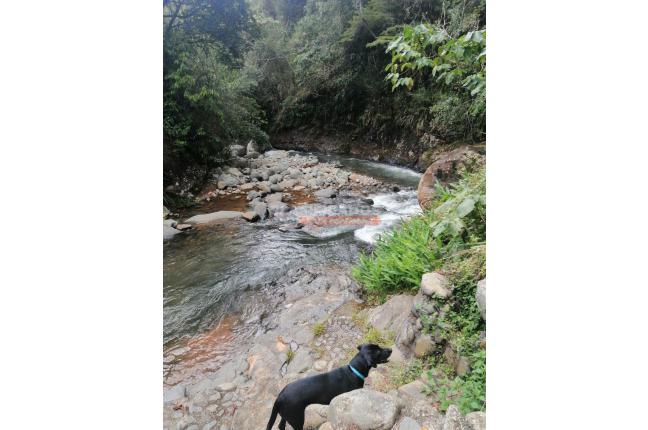 Fincas y Casas Campestres, Venta, La Reforma - $600.000.000