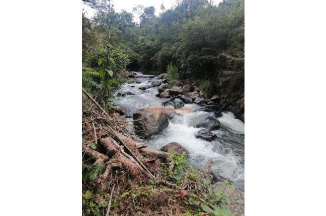 Fincas y Casas Campestres, Venta, La Reforma - $600.000.000