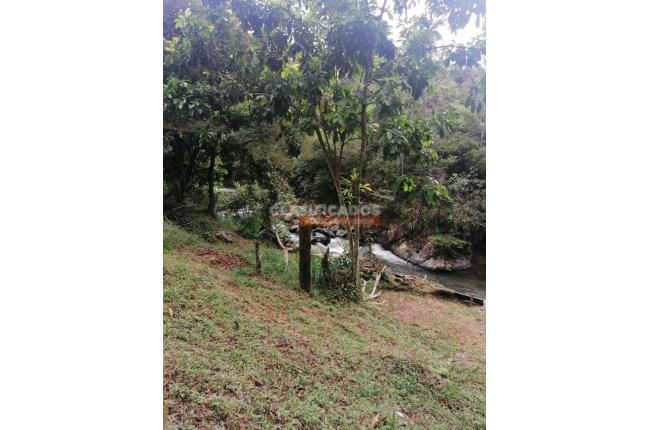 Fincas y Casas Campestres, Venta, La Reforma - $600.000.000