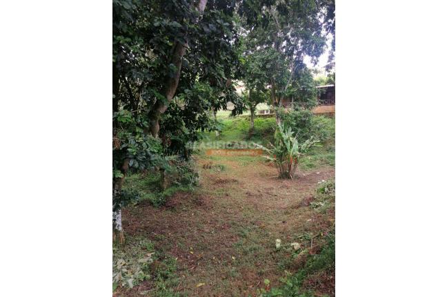 Fincas y Casas Campestres, Venta, La Reforma - $600.000.000