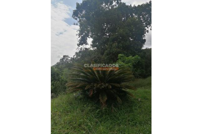 Fincas y Casas Campestres, Venta, La Reforma - $600.000.000