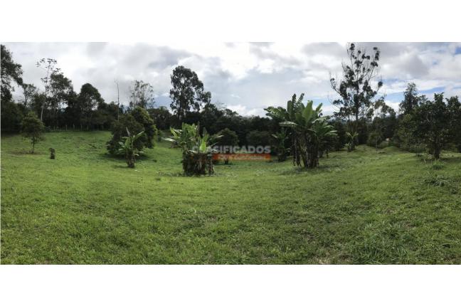 Casas, Venta, Dagua - $300.000.000