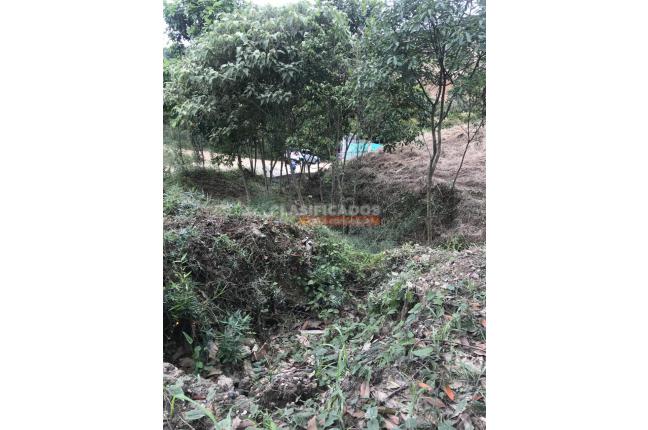 Lotes, Venta en La Reforma