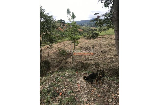 Lotes, Venta, La Reforma - $180.000.000