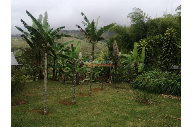 Fincas y Casas Campestres, Venta, Dagua - $580.000.000