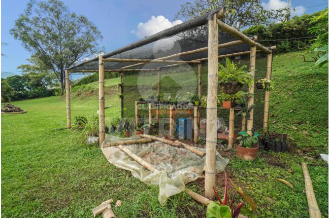 Fincas y Casas Campestres, Venta, Dapa - $2.850.000.000