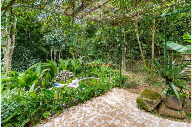 Fincas y Casas Campestres, Venta, Aguacatal - $800.000.000