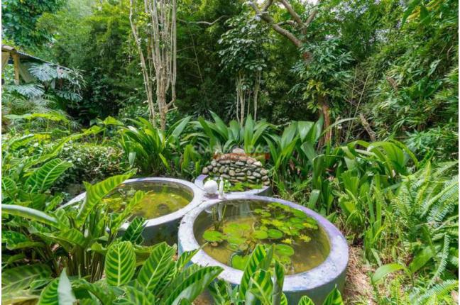 Fincas y Casas Campestres, Venta, Aguacatal - $800.000.000