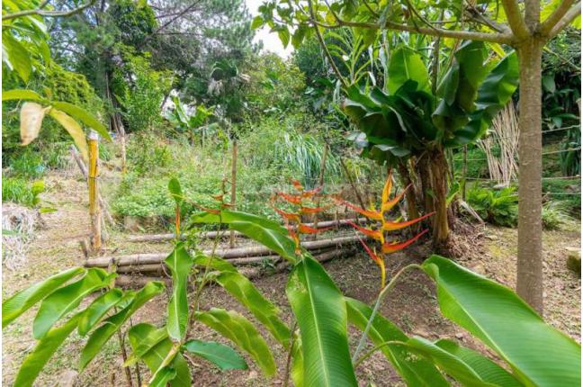 Fincas y Casas Campestres, Venta, Aguacatal - $800.000.000