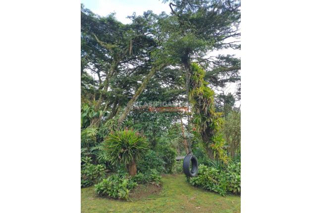 Fincas y Casas Campestres, Venta, Yumbo - $850.000.000