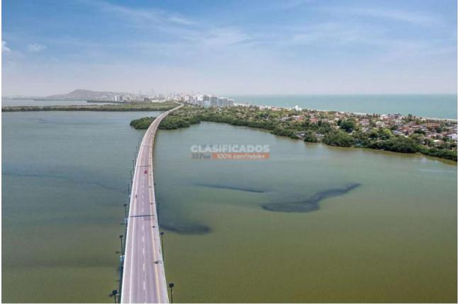 Lotes, Venta, Tubara - $147.000.000