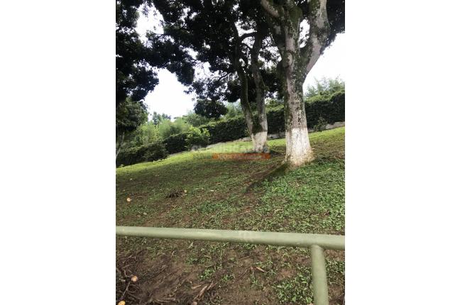 Fincas y Casas Campestres, Venta, La Reforma - $750.000.000