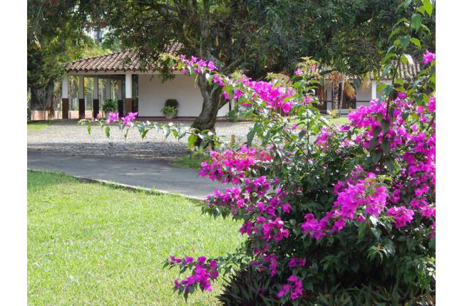 Casas, Venta en Guaduales de las Mercedes