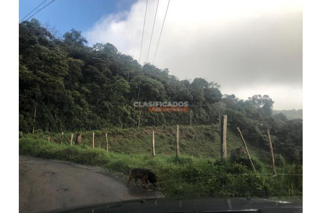 Lotes, Venta en Dagua