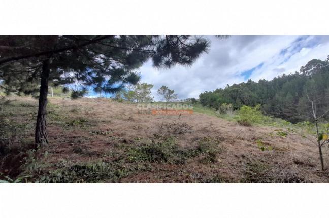 Lotes, Venta, Dagua - $200.000.000