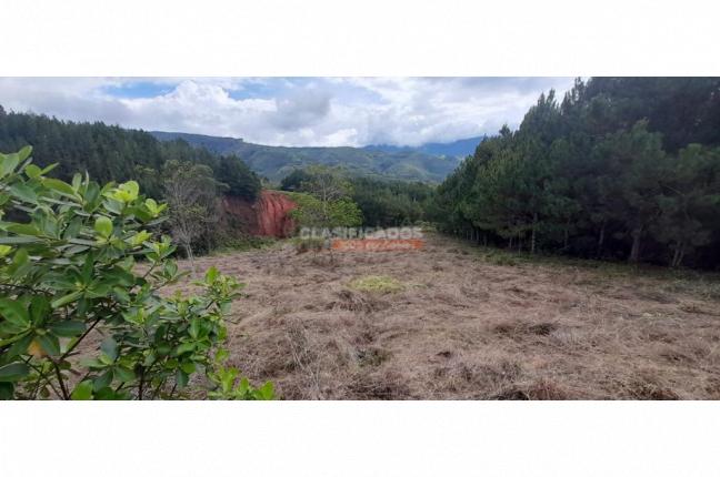 Lotes, Venta, Dagua - $200.000.000