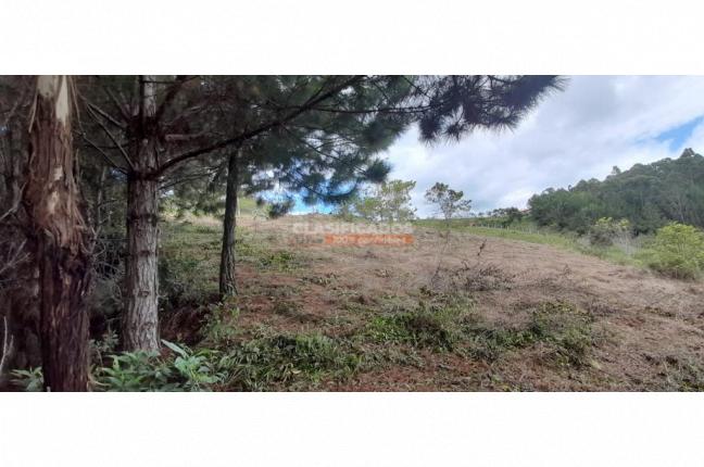 Lotes, Venta en Dagua