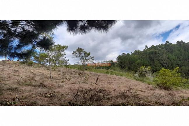 Lotes, Venta, Dagua - $200.000.000