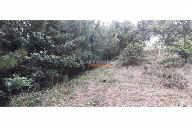 Lotes, Venta en Dagua