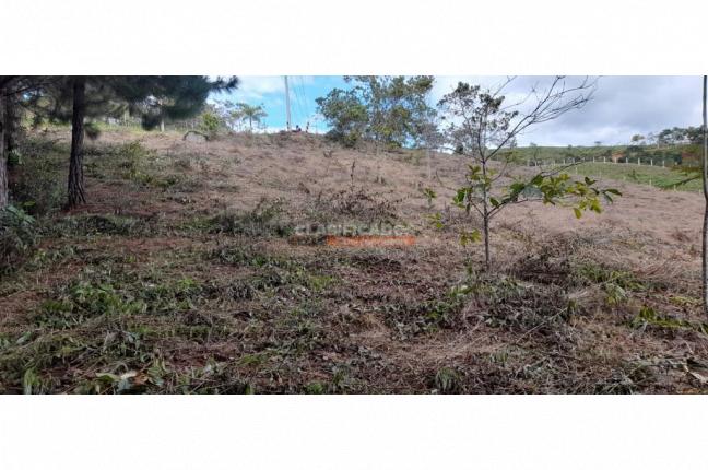 Lotes, Venta, Dagua - $200.000.000