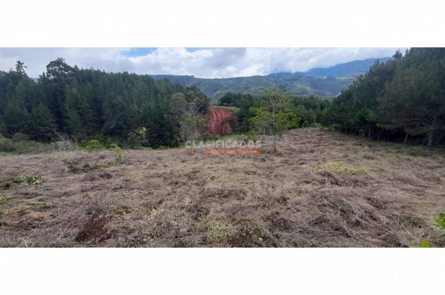 Lotes, Venta, Dagua - $200.000.000