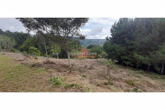 Lotes, Venta, Dagua - $200.000.000