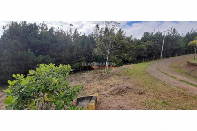 Lotes, Venta, Dagua - $200.000.000