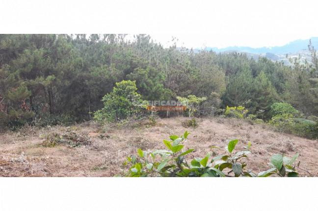 Lotes, Venta, Dagua - $200.000.000
