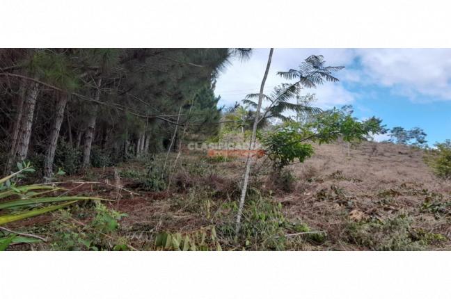 Lotes, Venta, Dagua - $200.000.000