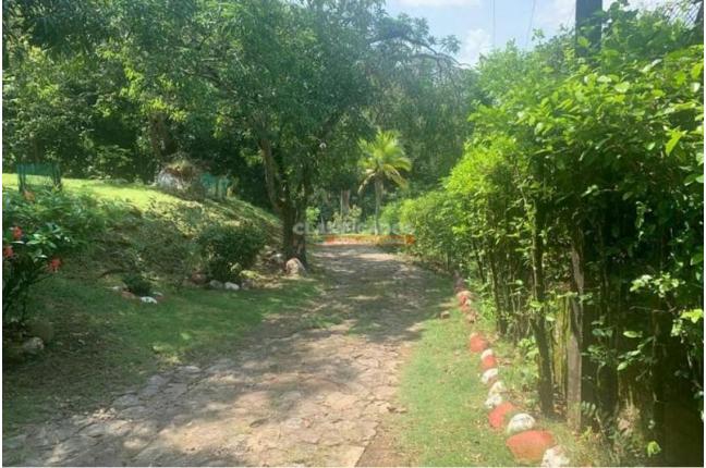 Fincas y Casas Campestres, Venta, Melgar - $1.100.000.000