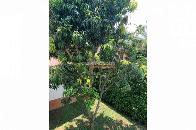 Casas, Venta, Jamundí - $900.000.000