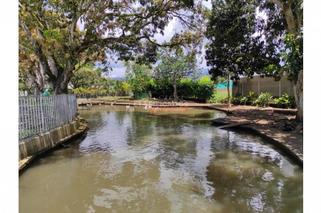 Casas, Venta, Jamundí - $950.000.000