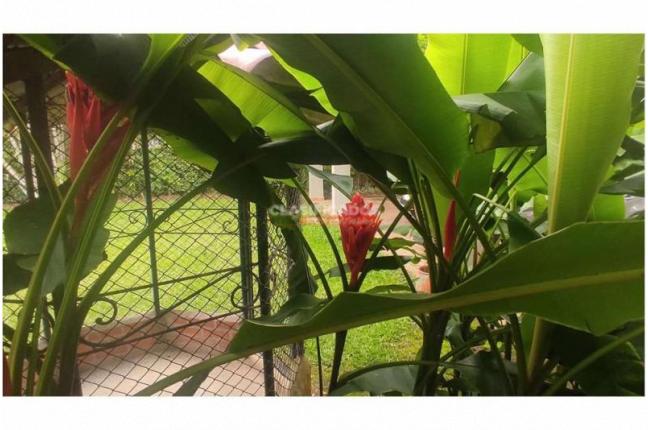 Fincas y Casas Campestres, Alquiler, Jamundí - $8.857.000