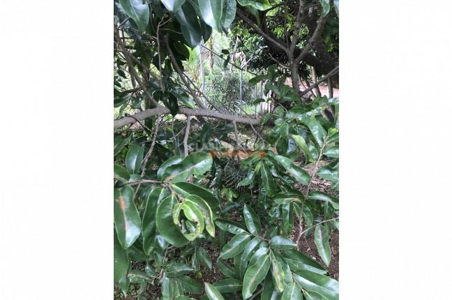 Casas, Venta, La Buitrera - $970.000.000