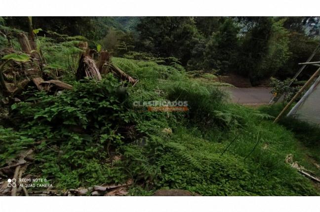 Fincas y Casas Campestres, Venta, La Leonera - $500.000.000