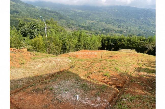 Lotes, Venta en La Reforma