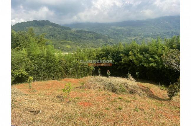 Lotes, Venta, La Reforma - $230.000.000