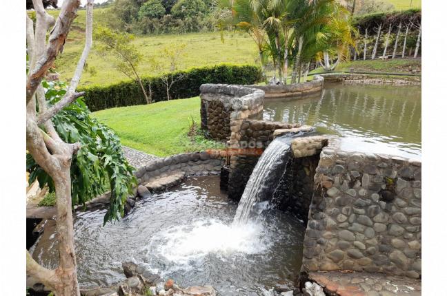 Fincas y Casas Campestres, Venta, Calima (Darién) - $1.650.000.000