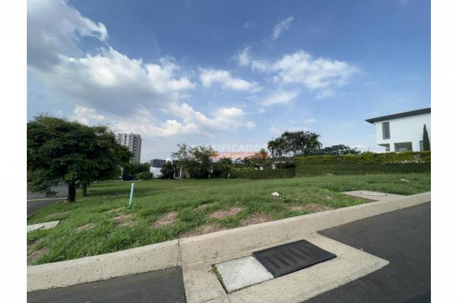 Lotes, Venta en Pance