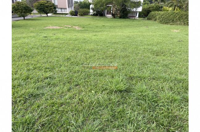 Lotes, Venta, Pance - $1.600.000.000