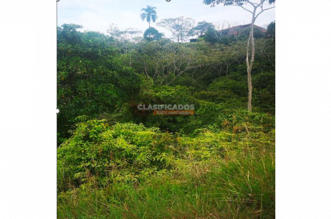 Lotes, Venta, Haciendas de Potrerito - $215.000.000