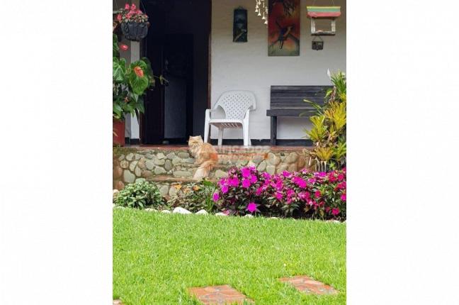 Fincas y Casas Campestres, Venta, Dagua - $450.000.000